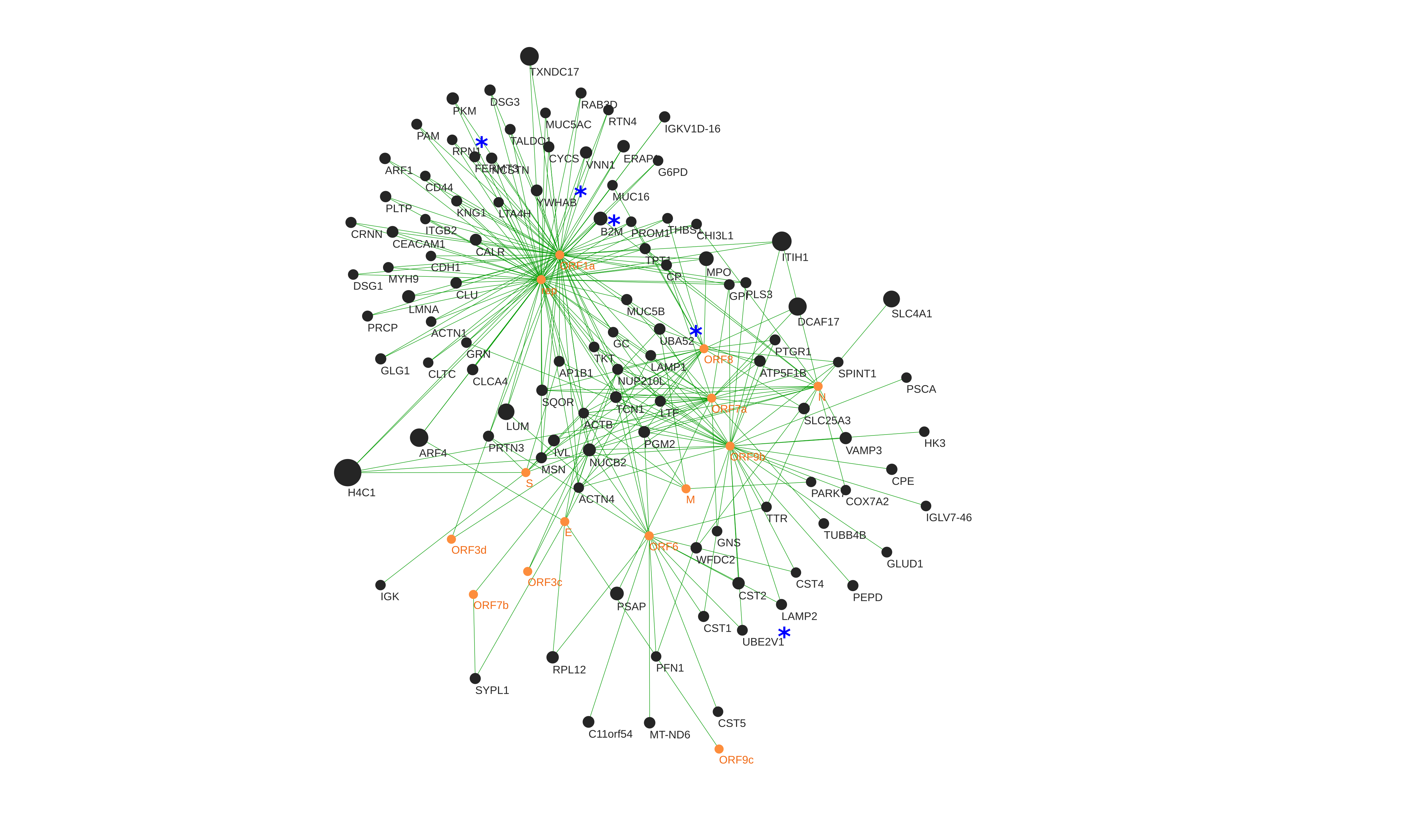 Cytoscape OralInt Network visualization